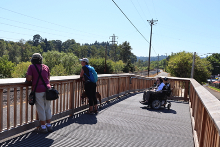 Viewing platform above Springwater Corridor Trail – views of the wetlands